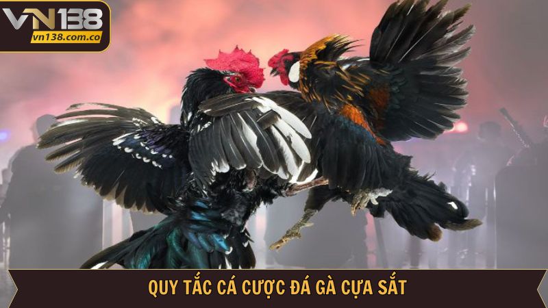 Chia sẻ quy luật cực kỳ chi tiết cho người mới
