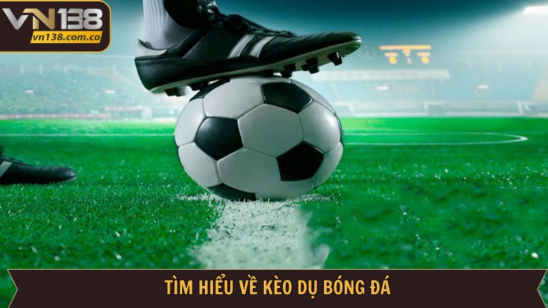 Giải mã cách hiểu cơ bản về kèo dụ